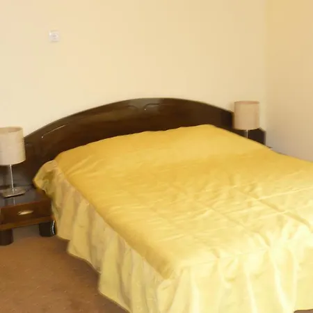 Pensiunea Casa Ancutei Guest house