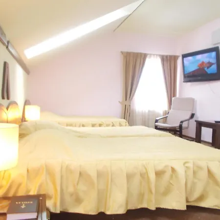 Guest house Pensiunea Casa Ancutei 4*