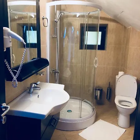 Pensiunea Casa Ancutei Guest house