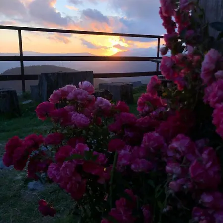 Pensiunea Casa Ancutei Guest house 4*