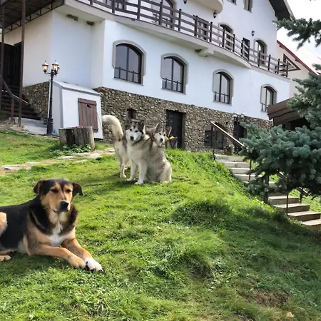 Pensiunea Casa Ancutei Ranca