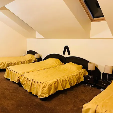 Pensiunea Casa Ancutei 4* Ranca
