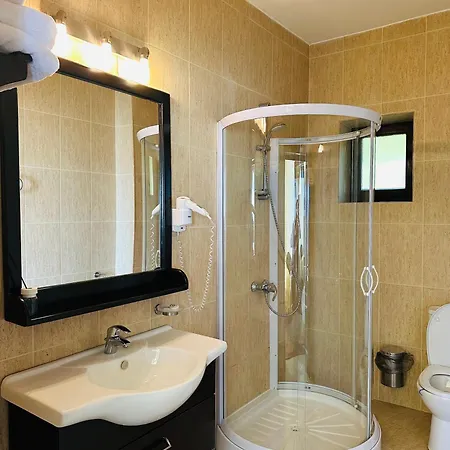 Pensiunea Casa Ancutei Guest house